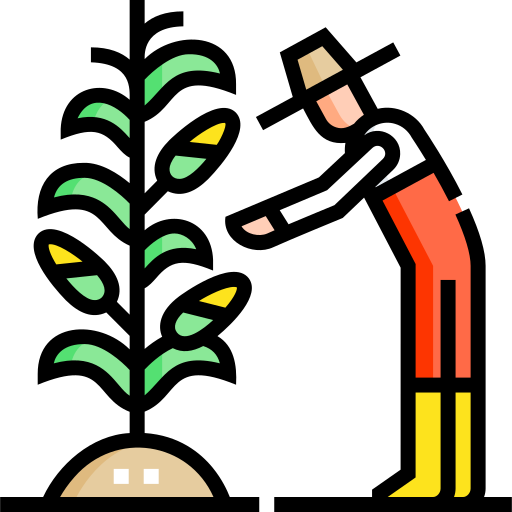 harvest (1)